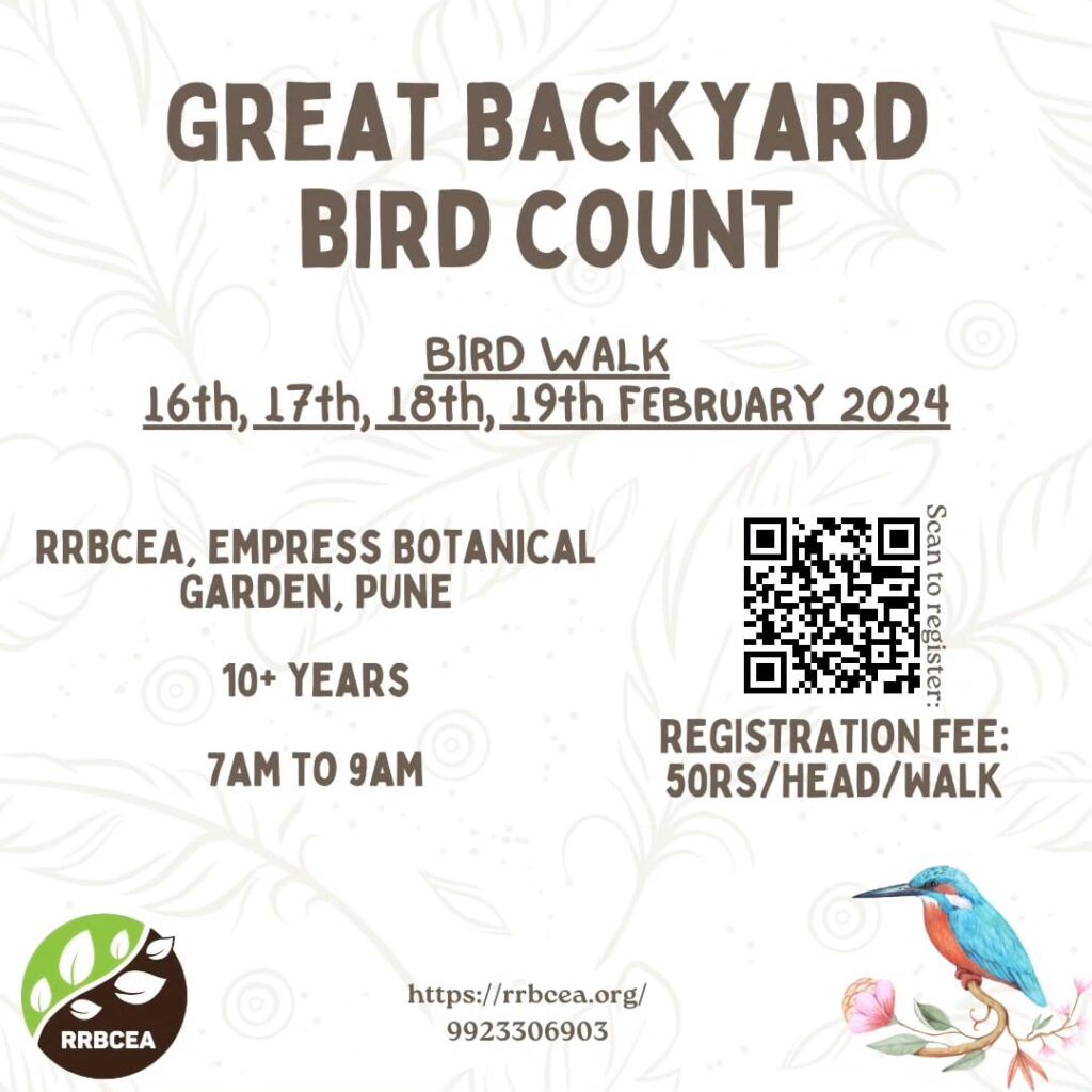 Great Backyard Bird Count 2024 (GBBC) RRBCEA