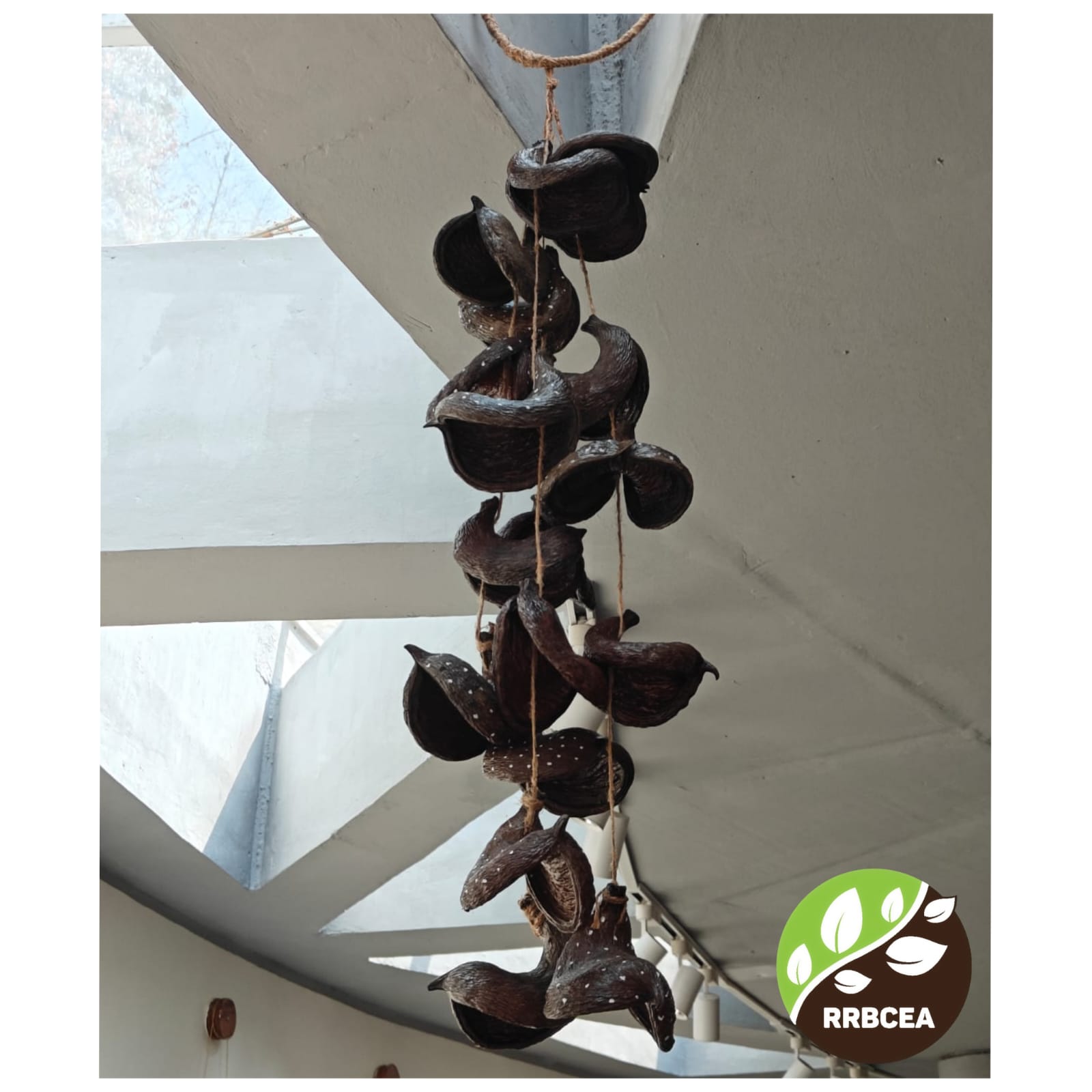 People and plant (1)