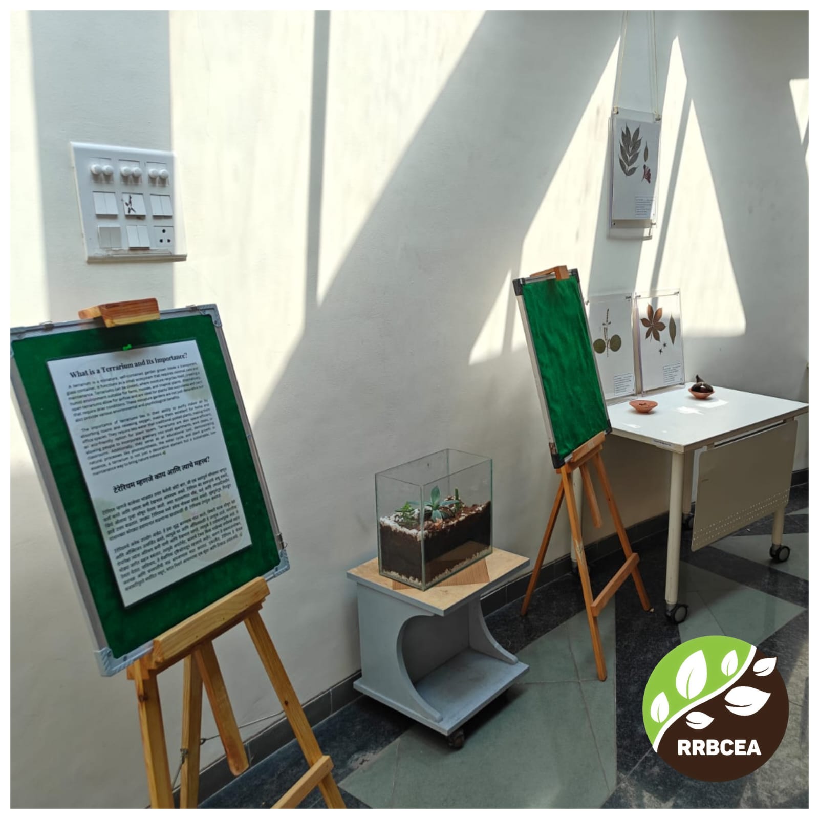 People and plant (2)