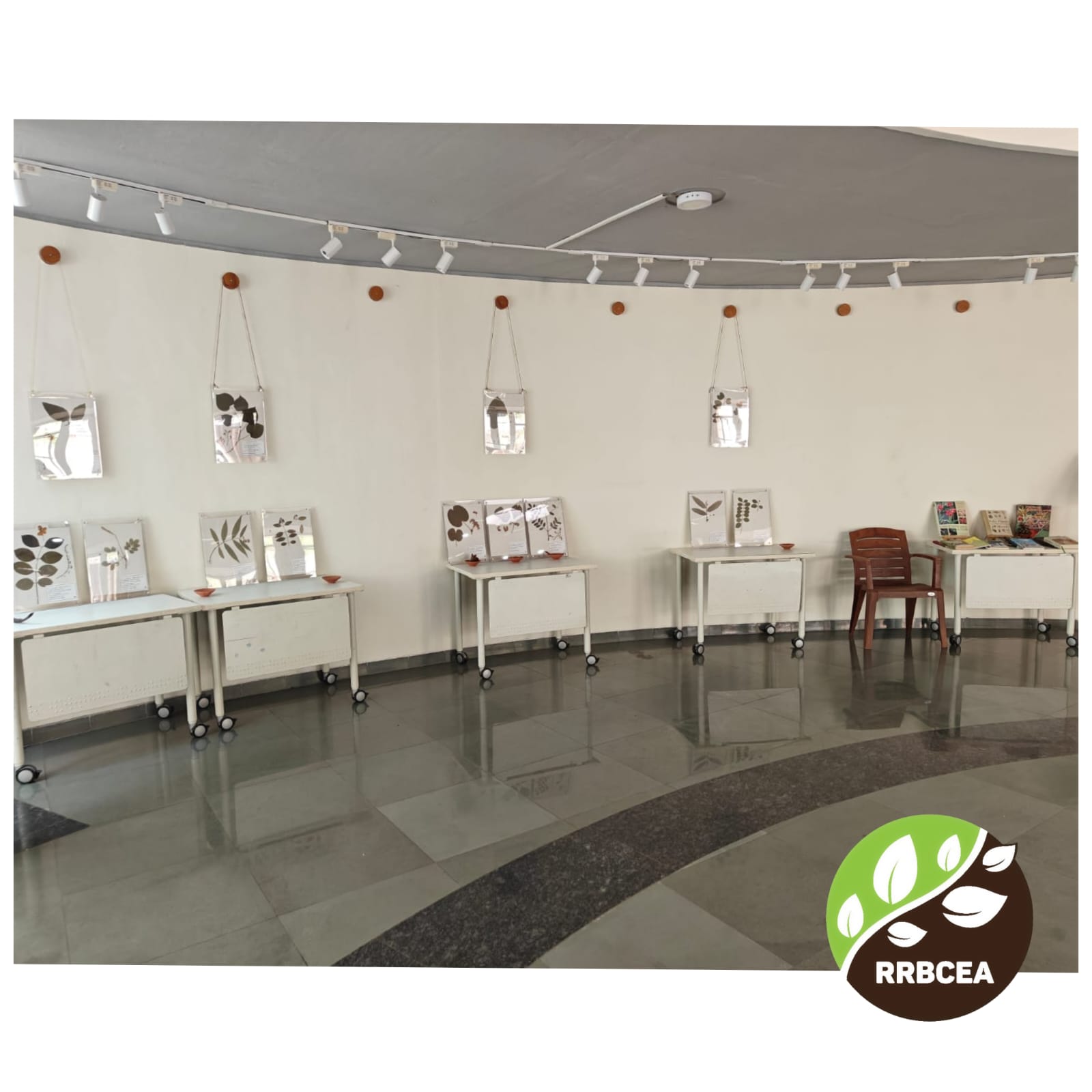 People and plant (4)