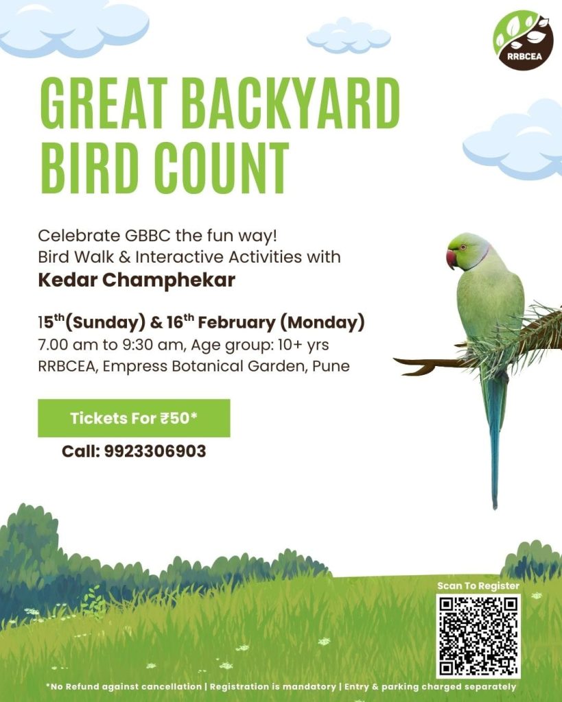 Great-Backyard-Bird-Count-at-RRBCEA.jpeg